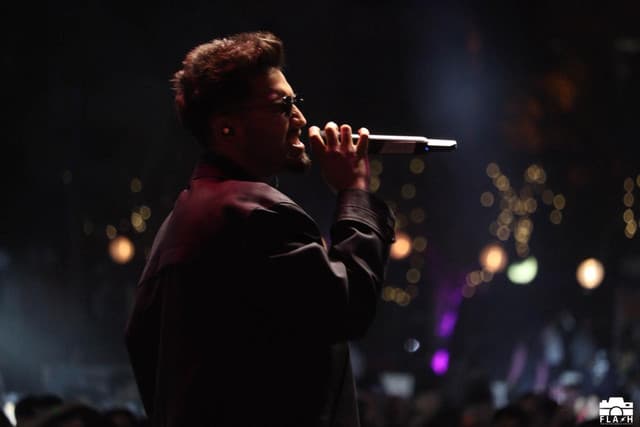 Renaissance Recovery 7